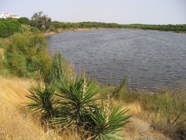  Laguna del Portil 